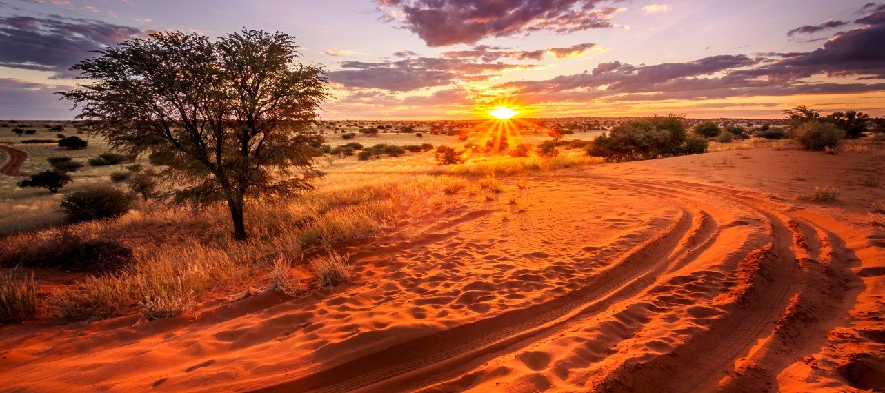 Private Tours Vacations To The Kalahari Desert Botswana Untold   Shutterstock 796510648 1 